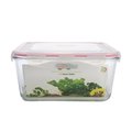 Bakeoff Glastor 112oz. Square Storage Container BA1232388